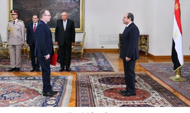 عاجل| الرئيس عبد الفتاح السيسي يعتمد  13 سفيرا جديدا