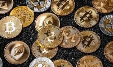 عاجل.. تأجيل محاكمة مستريح البيتكوين لـ 20 نوفمبر