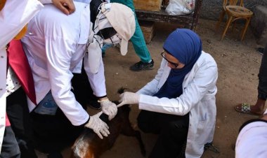 جامعة سوهاج تواصل تنفيذ قوافلها البيطرية المجانية لقرى حياة كريمة