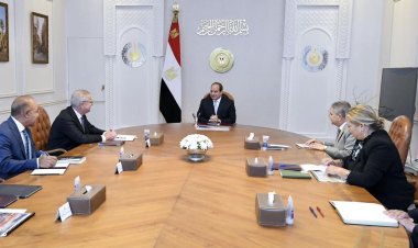 الرئيس السيسي يوجه بالتعاون مع «ميرسك» العالمية لإنتاج وتوزيع الطاقة الخضراء