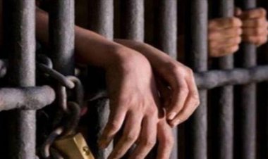 بعد هروبه 3 سنوات.. مباحث طنطا تضبط مستريح استولى على 50 مليون جنيه