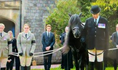 جنازة الملكة إليزابيث.. شاهد رد فعل حصانها المفضل وكلبها الخاص