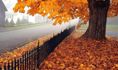 حالة الطقس اليوم الثلاثاء: أجواء خريفية وفرص سقوط أمطار خفيفة.. فيديو