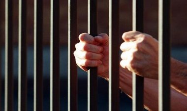 السجن المؤبد للمتهمين بإنهاء حياة شخص في خصومة ثأرية بسوهاج