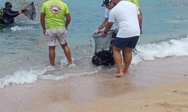 وزارة البيئة تشارك في اليوم العالمي لتنظيف الشواطئ بالإسكندرية