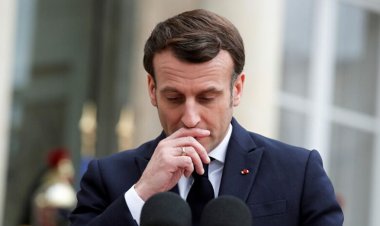 فرنسا عن استفتاءات دونستيك ولوجانسيك: تثير السخرية