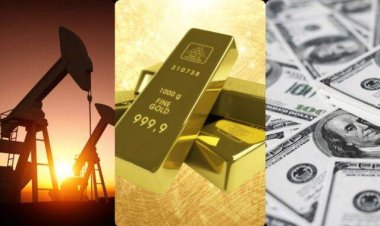 تعرف على نظرة المستثمرين لقرار البنوك المركزية