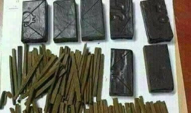 نيابة الإسكندرية تقضي بحبس عاطل لحيازته 160 طربة حشيش