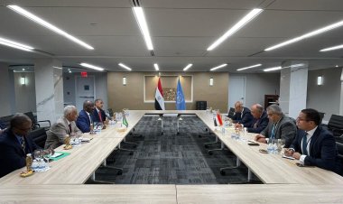 تعزيز التعاون الاقتصادي تصدرت الأجندة.. وزير الخارجية يلتقي نظيره الموريتاني بنيويورك