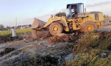 إزالة 71 حالة تعد على أراضي زراعية بالشرقية