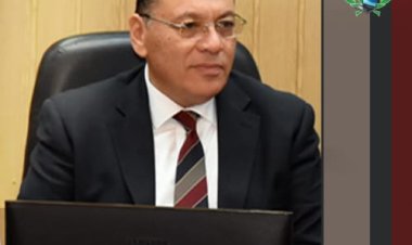 محافظ الشرقية: استمرار انتظام عملية توريد الأرز لمواقع التجميع