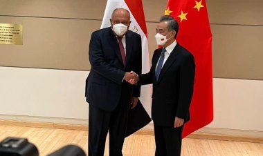 سامح شكري يلتقي مستشار الدولة وزير خارجية الصين