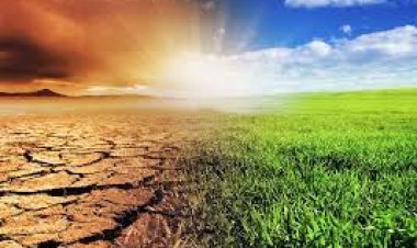 البنك الدولي : 216 مليون شخص مُجبرين على الهجرة خلال 2050