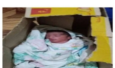 العثور على طفلة حديثة الولادة أمام مقابر بالمنوفية