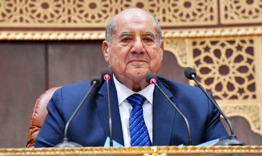 رئيس مجلس الشيوخ يتوجه إلى باريس للقاء نظيره الفرنسي