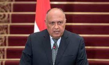 الخارجية: مصر لم توفد مراقبين لمتابعة استفتاءات تم تنظيمها في أوكرانيا مؤخرا