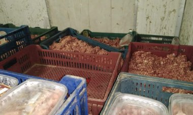 ضبط 700 كجم لحوم غير صالحة للاستهلاك الآدمي داخل أحد محلات المنوفية