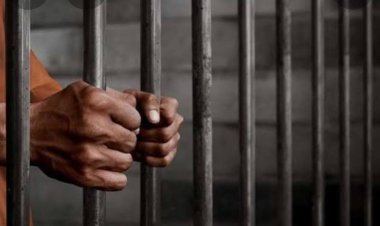 الحبس 3 سنوات وغرامة 100 ألف جنيه لسيدة خطفت طفلة وحرضتها على السرقة