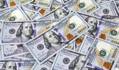 ارتفاع سعر الدولار مقابل الجنيه.. بختام تعاملات اليوم الأربعاء