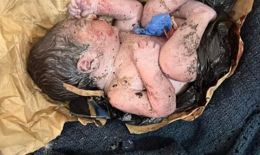 فلذات الأكباد داخل «أكوام الزبالة».. الصراخ يُنقذ رضيع من الموت بالمنوفية