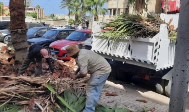 محافظ الإسكندرية: تكثيف حملات التطهير والنظافة وإزالة الإشغالات بمحيط المدارس