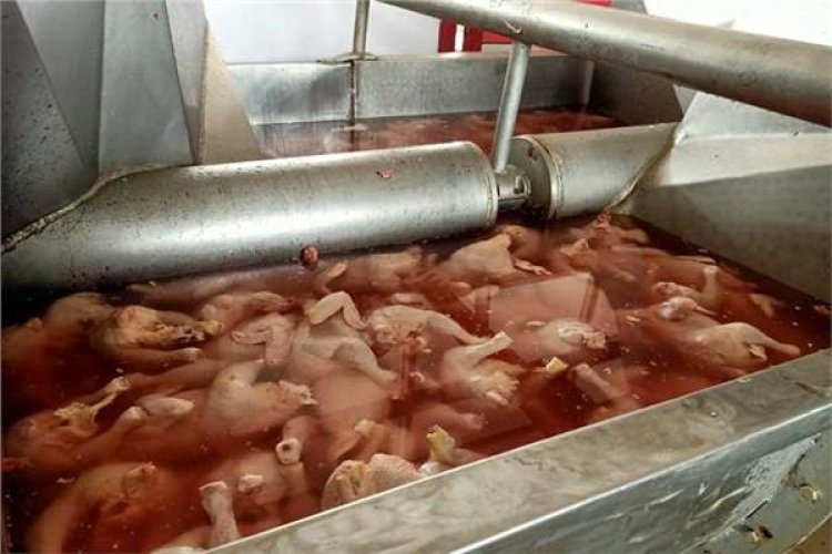 ضبط 9 طن مقطعات دواجن مجهولة المصدر بالقطامية