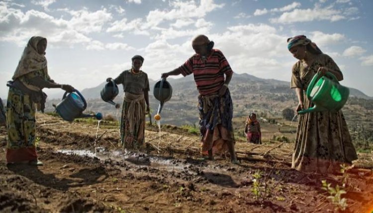 بنك التنمية: 15 % من معدلات النمو  خسائر إفريقيا من التغيرات المناخية