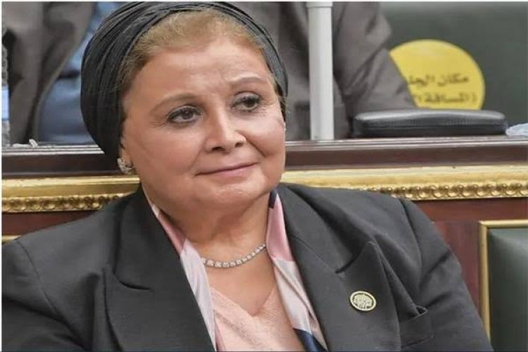 عبلة الألفي: الرضاعة الطبيعية تقلل نسبة الوفاة بين حديث الولادة 50%