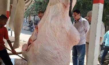 حملات تفتيشية ورقابية مفاجئة على أصحاب محال الجزارة والتجار التموينيين بالشرقية