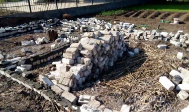 محافظ المنوفية: إزالة 294 حالة تعد على الأراضي الزراعية وأملاك الدولة