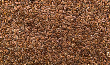 فوائد بذور الكتان للحافظ على صحتك