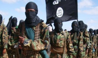 «داعش» تحت حصار  ثعابين وأسود الموزمبيق