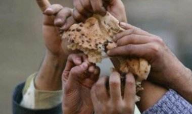 لمواجهة صدمة الغذاء.. صندوق النقد الدولي يفتح نافذة جديدة لإغاثة الدول