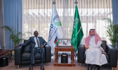الرئيس التنفيذي للصندوق السعودي للتنمية يستقبل سفير جمهورية جنوب السودان لدى المملكة