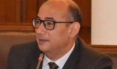 رئيس جامعة الإسكندرية يصدر قرارات بتعيين وكلاء جدد ببعض الكليات