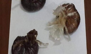 ضبط موظف بالأوقاف بحوزته مواد مخدرة بقصد الإتجار في قنا