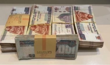 وعدهم بفرص عمل في الخارج.. مستريح جديد بالشرقية استولى على 51 مليون جنيه