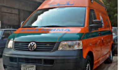 أثناء عبورها السكة الحديد.. إصابة ربة منزل صدمها قطار بـ كفر الشيخ