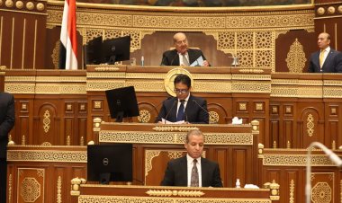 مجلس الشيوخ يعلن تشكيل هيئة مكاتب لجانه النوعية