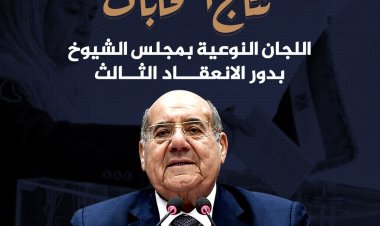 رئيس مجلس الشيوخ يدعو اللجان النوعية للانعقاد لانتخابات هيئات المكاتب