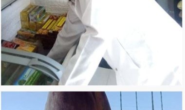 طب بيطري الشرقية: ضبط 191 كيلو لحوم غير مطابقة للمواصفات