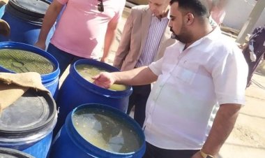 الصحة: ضبط وإعدام أكثر من 33 طن أغذية فاسدة وغلق 3 منشآت