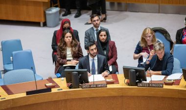 الإمارات تدعو لمحاسبة الجماعات الإرهابية