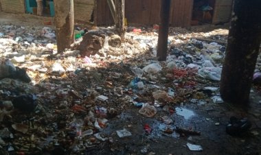 رواد وبائعو سوق منطقة التمثال ببنها يناشدون من تلال القمامة والإهمال