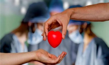 الدكتور علي الأزهري: لا يجوز أخذ أي عضو من الإنسان بعد موته إلا إذا أوصى هو