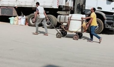 بسبب السوس.. محافظ القليوبية يوجه برش المناطق المحيطة بصوامع عرب العليقات بالخانكة