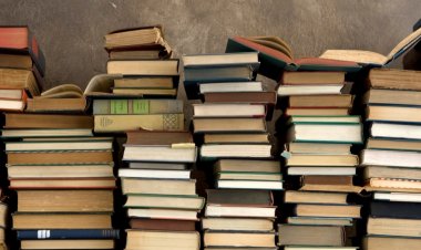 ضبط 10 آلاف نسخة كتاب ورواية داخل مخزن دون إذن أصحابها بالمرج