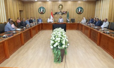 محافظ المنوفية: انتهاء أعمال الصرف الصحي والكهرباء بالمنطقة الصناعية الرابعة بقويسنا