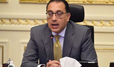 مصر والإمارات تنظمان فاعليات للاحتفاء بمرور 50 عاما على تأسيس العلاقات الثنائية