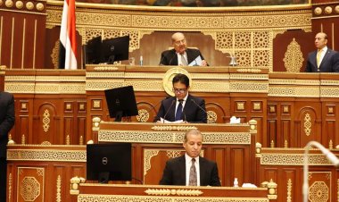 «تعليم واتصالات الشيوخ» تحددا  أولوياتها فى خطة عملها بدور الانعقاد الثالث